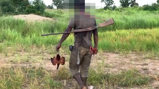 Ghana hunting ban helps threatened species