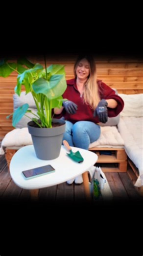 392 reactions · 54 shares | Marre des appels indésirables ?  Découvrez comment activer la fonctionnalité Anti-spam appels depuis l'application Orange et moi. | Orange | Facebook