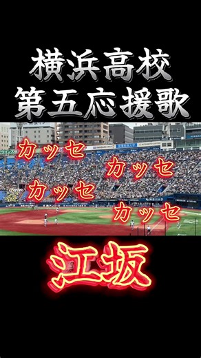 春季高校野球神奈川大会 決勝戦 横浜高校 第五応援歌 2026年5月3日 対横浜創学館戦 横浜高校優勝おめでとう🎖️ #横浜高校 #第五応援歌 #高校野球 #高校野球応援 #甲子園