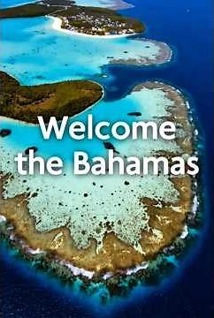 Discover The Bahamas 🇧🇸 | Paradise Islands, Nassau, Exuma | 1-Minute Travel Documentary