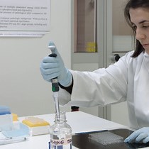 Video: Targeting Alpha Synuclein Aggregates in Cutaneous Peripheral Nerve Fibers by Free-floating Immunofluorescence Assay