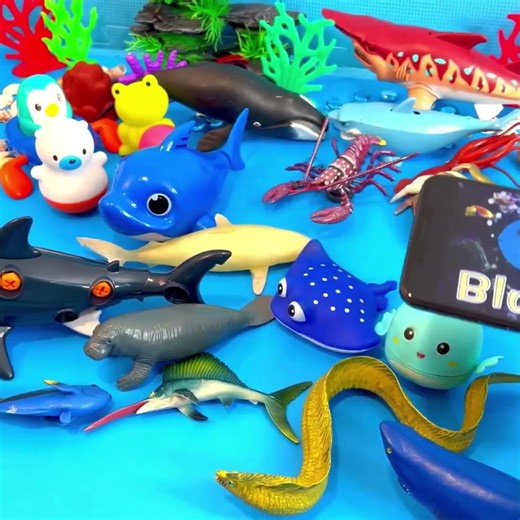 Find the Blue Tang! 🐠 A Fun Fish Matching Game