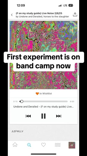 Exploring Noise Projects: A New Experimental Series