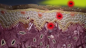 Glenmark La Shield IR Skin UV