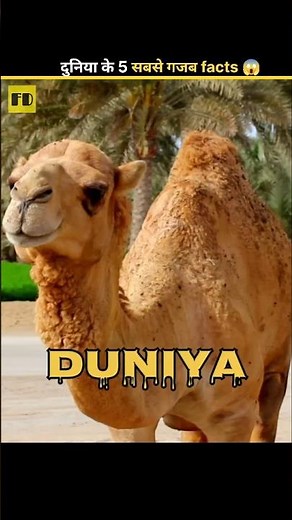 5 Mind Blowing facts in the world 😱