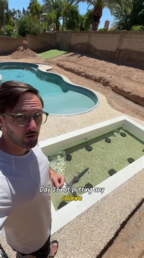 The algae isn’t winning. It’s running out of food. 👀💧 #naturalpool #livingwater