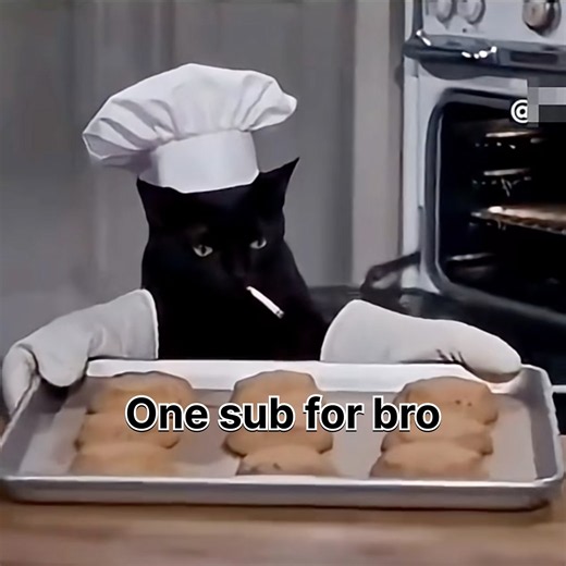 He Actually Made Biscuits 😭 | #shorts #funny #cat #cats #funnycats #memes #catmemes #viral #fyp