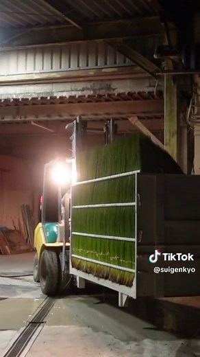 5,760 HOURS OF WORK!? - The Process of Making Japanese Traditional Tatami. You can watch the fulll video from the link in bio.. #kyoto #crafts #art #asmr #satisfying #satisfyingvideo #fypシ゚ #fyp #processvideo