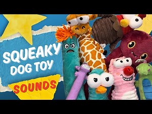 Squeaky Dog Toys - That Instantly Get Dogs Attention