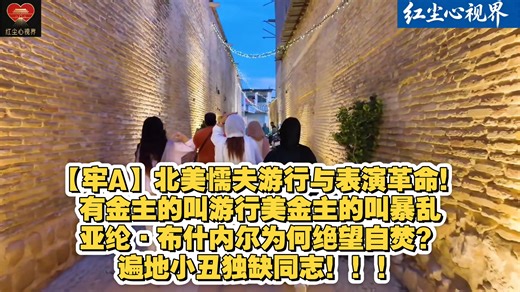 【牢A】北美懦夫游行与表演革命！有金主的叫游行美金主的叫暴乱，亚纶·布什内尔为何绝望自焚？遍地小丑独缺同志！！！
