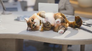 inZOI cheats - money cheat, move objects, unstuck Zois - VideoGamer