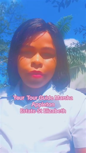 Discover the Beauty of Appleton Estate in Jamaica