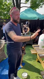2M views · 4.9K reactions | No excuses for this | Southend Dog Training | Facebook