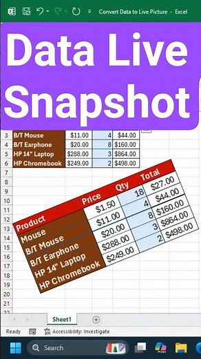 How to Display Any Part of a Worksheet as a Live, Auto-Updating Picture #excel #excelwithbrainbell