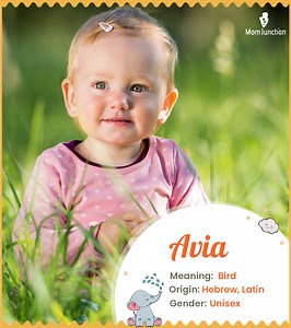 Avia Baby Name Meaning And Origin: Comprehensive Guide For 2025 Name Meaning, Origin, History, And Popularity