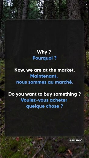 Learning English French 15
