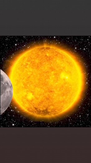 Now this eclipse would definitely be worth watching. We miss you, Wolfie and Juno | Juno's Place