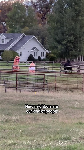 I think we picked the right neighborhood 😂👏 #montana #newneighbors #rurallife #horsetok