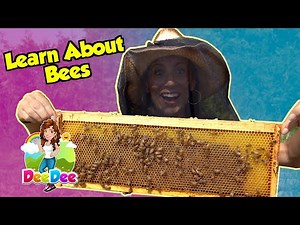 Kids Learn About Bees
