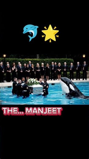 🐬 Dolphin Shows Incredible Tricks! Unreal Skills! 😱 #Shorts"