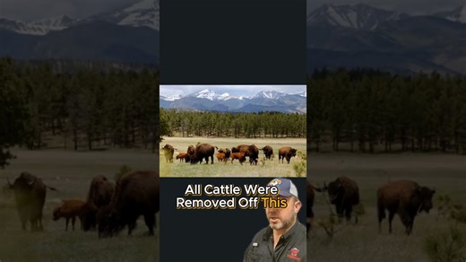 Key facts about the largest ranch in New Mexico