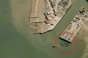 Crabzilla!: Giant crab spotted off English coast?