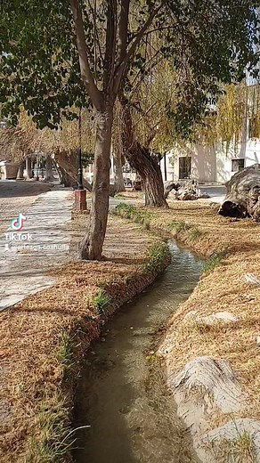 El pueblo en invierno 🍂 Arteaga Informa Conoce Arteaga | Arteaga Municipio Mágico