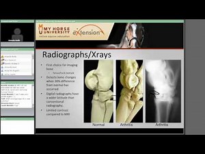 Lameness in the Performance Horse