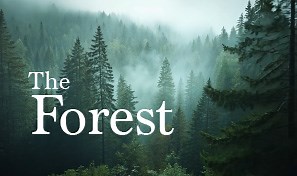 Adobe Learn - Learn After Effects - Add text to drone footage with the 3D camera tracker