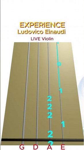 EXPERIENCE 🌠 by Ludovico Einaudi | LIVE Animated Violin TAB