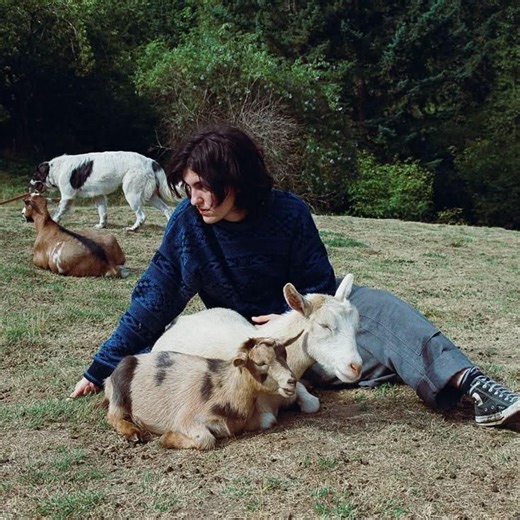 Start - Searows - LETRAS.COM