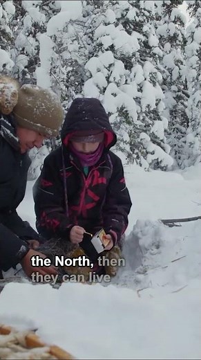 If They Can Thrive Here, They Can Live Anywhere | Northwoods Survival