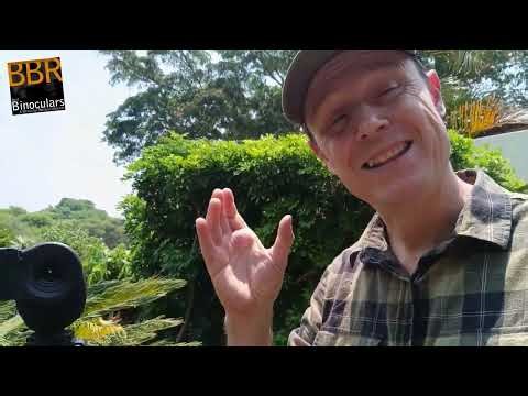 Digiscoping: Hawke NatureTrek 56mm Spotting Scope & Magview S1 Adapter - Initial thoughts & captures