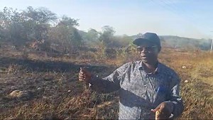 The idea of burning dry vegetation may appear a noble idea but we can upgrade it to modern pest control and fodder regeneration methods. This can destroy the entire savannah ecosystem including medicinal plants, animals like all other wild fires do especially during the dry seasons. | Prof. John Krop Lonyang'apuo, PhD