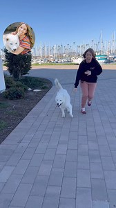 I hope you get as much joy out of this as I do. This was a couple of years ago: we were working on a campaign for @groundsandhounds . By the way, they are our favorite coffee and they give a percentage of all their profits to rescue dogs — they are awesome. Go learn about them and support them. Back to my story… so we were working on a campaign for them and the idea that they had was a bunch of us all dancing like Fenix all in unison. It is the best idea I’ve ever heard. But it is also the most 