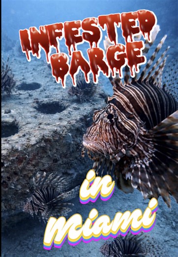 If left alone, Lionfish will infest everything, and there will be almost no fish left on the reef which causes the reef to fail. The reef needs fish that clean other fish so they can be healthy and also needs fish and other creatures that clean the actual coral and reef structures and sponges and such. We also need little fish for native species to be able to eat and grow and this is how the reef works! When you have one creature that has no predators eating up all of these fish and not leaving 