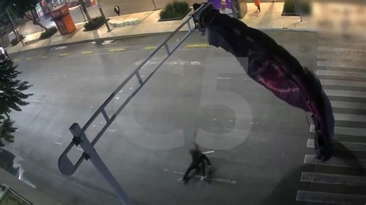 VIDEO: Skydiver crashes into traffic light