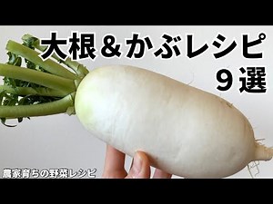 【レンジでできる】元農家おすすめ大根とカブの美味しい食べ方９選｜浅漬け｜おひたし｜ナムル｜作りおきOK