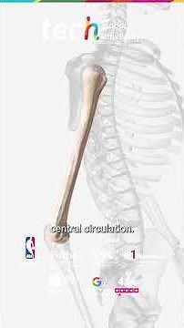 Intraosseous Access: Fast and Safe Route in Critical Patients ❘ TECH Global University