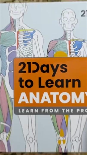 Can You Really Learn Anatomy in 21 Days!? 😲✏️