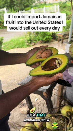If I could import Jamaican fruit into the United States I would sell out every day #fyp #organic #health #livingmybestlife #onelove