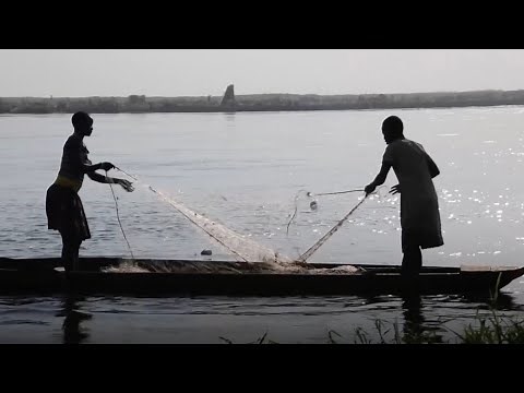 State of Food Security and Nutrition in The World 2025