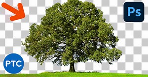 3 Powerful Techniques To CUT OUT Trees In Photoshop (WITHOUT Halos or Fringing!)