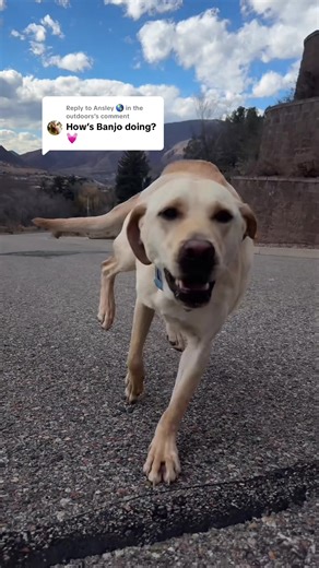 Replying to @Ansley 🌎 in the outdoors i guess my page is now dedicated to banjo!