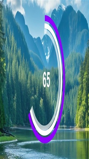 Circle Loop Countdown Timer Animation