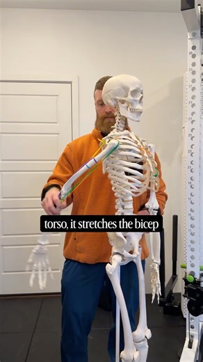 Austin Current - Online Personal Trainer on Instagram: "We're overcomplicating things a bit. The facing away cable curl — also known as the Bayesian Curl — is a great exercise for building the biceps. If you have access to a cable, it's easy to set up and perform for almost anyone. Don't over think it. ⬇️ comment “anatomy48” below to grab my free 48-page’ Foundations of Anatomy’ guide — it covers the “need to know” for each major muscle group and which exercises I like to train them. Chat soon, 