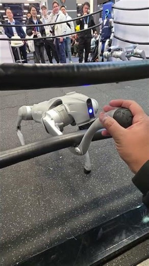 Me saludó el perrito robot