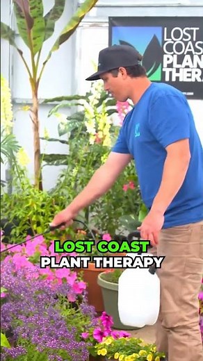 Mold on Houseplant Soil? Here’s a Quick Fix