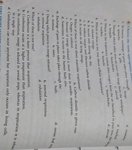 Where in the respiratory system does oxygen from the air breath... | Filo