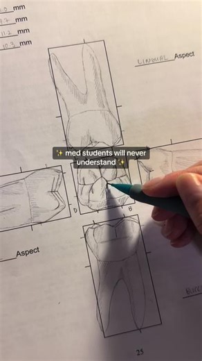 Inside the Life of a Dental Student: Part 1